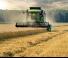 Combine agricole DEUTZ-FAHR C 6205 TS