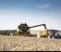 Combine agricole New Holland CX6.80