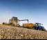 Combine agricole New Holland CX7.80 Elevation