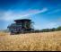 Combine agricole Massey Ferguson Ideal 9 T