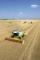Combine agricole Claas Lexion 650