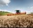 Combine agricole Claas Lexion 8500