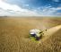 Combine agricole Claas Lexion 8900 TerraTrac 