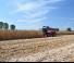 Combine agricole Laverda M 410 