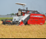 Massey Ferguson MF 2168