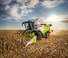 Combine agricole Claas Trion 660   