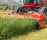 Cositori cu discuri atașate pe față, cu tambur de condiționare Massey Ferguson 9316 D