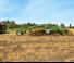 Cultivatoare Amazone Cenius 4003-2TX Super