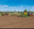 Cultivatoare Amazone Cenius 7003-2 TX Super
