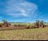 Cultivatoare Amazone Cenius 7003-2TX Super 