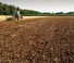 Cultivatoare Kerner Corona C 250 Üh