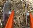 Cultivatoare Kubota CU3300CD AP