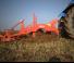 Cultivatoare Maschio Pinocchio 200/5