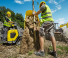 Dumpere pe Şenile Wacker Neuson DT10
