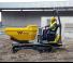 Dumpere pe Şenile Wacker Neuson DT23