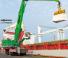 Stivuitoare Sennebogen 875M E Hybrid  