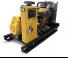 Generatoare de curent Generatoare de curent diesel Caterpillar C7.1-DE 220