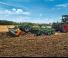Amazone Certos 6002-2TX