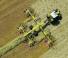 Greble rotative Claas Liner 4700 Business