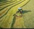 Claas Liner 550 T