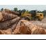 Încărcătoare pe roți Caterpillar 938M