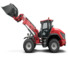 Încărcătoare pe roți Weidemann 9580 T