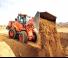 Încărcătoare pe roți Doosan DL250-5