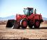 Încărcătoare pe roți Doosan DL350-3