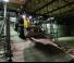 Încărcătoare pe Roți Electrice Wacker Neuson WL20 e