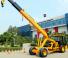 Macarale mobile industriale Escorts Hydra 1242