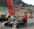 Macarale pe șenile - braț cu zăbrele Liebherr LR 1110