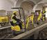 Mini excavatoare Wacker Neuson 803