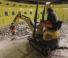 Mini excavatoare Wacker Neuson 803