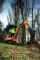 Excavatoare pe Șenile Electrice Case CX15B S-2