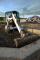 Mini excavatoare Bobcat E 16