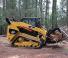 Mini încărcătoare Caterpillar 289C