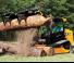 Mini încărcătoare JCB 300T