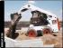 Mini încărcătoare Bobcat S 150 ACS
