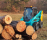 Mini încărcătoare Sunward SWL3230 