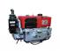Yanmar TS190