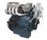 Motoare Kubota WG1605-GLN-E3