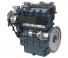 Motoare Kubota WG2503-G-E3