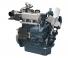 Motoare Kubota WG972-GL-E4