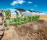 Pluguri Amazone Cayron 200