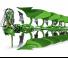 Pluguri Amazone Cayros XMS 3-1050 S