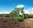 Amazone Hektor 6-1000 S