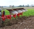 Pluguri Unia Ibis L H 4+