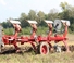 Pluguri Unia Ibis L H plus 3+1