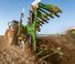 Pluguri Amazone Tyrok 400