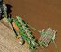 Pluguri Amazone Tyrok 400